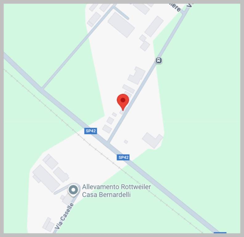 immagine annuncio 13 di 15