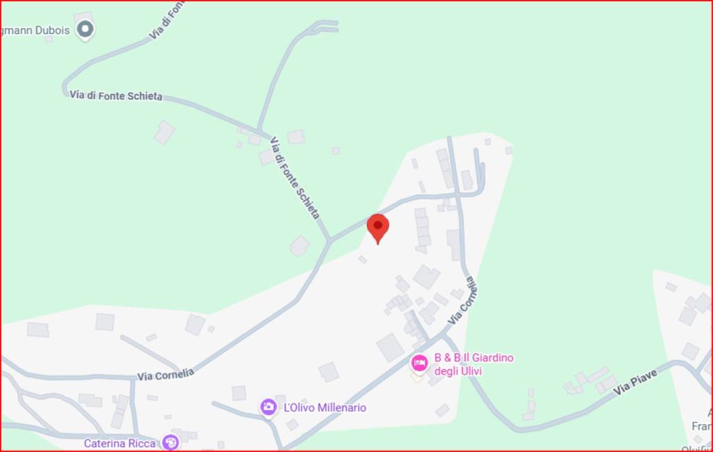 immagine annuncio 10 di 12