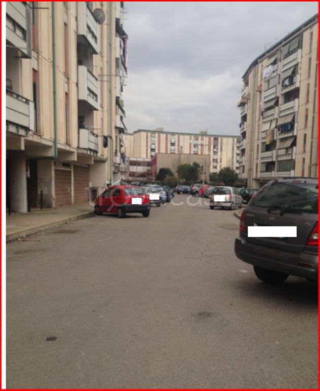 immagine annuncio 2 di 11