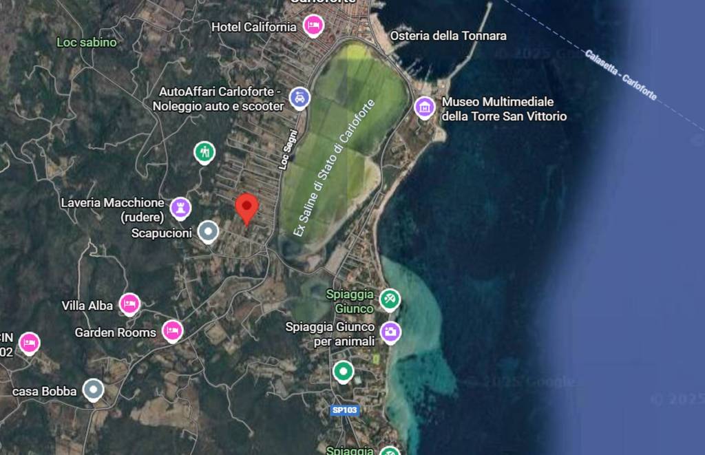 immagine annuncio 4 di 12