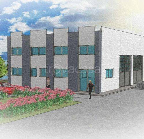 immagine annuncio 1 di 14