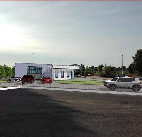 immagine annuncio 6 di 14