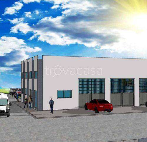 immagine annuncio 8 di 14