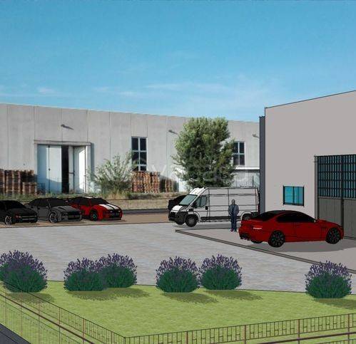 immagine annuncio 12 di 14