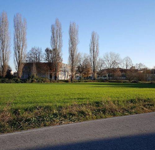 immagine annuncio 4 di 9