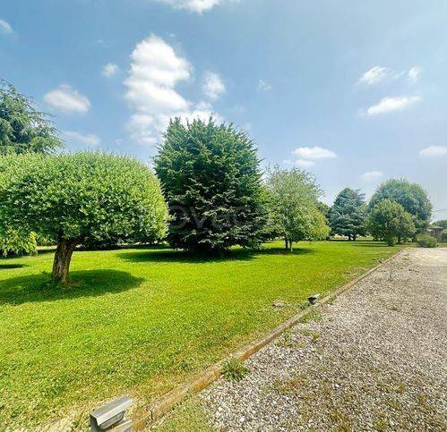 immagine annuncio 2 di 7