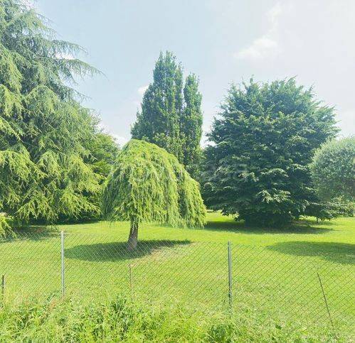 immagine annuncio 3 di 7