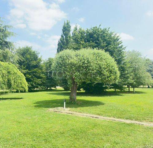 immagine annuncio 4 di 7