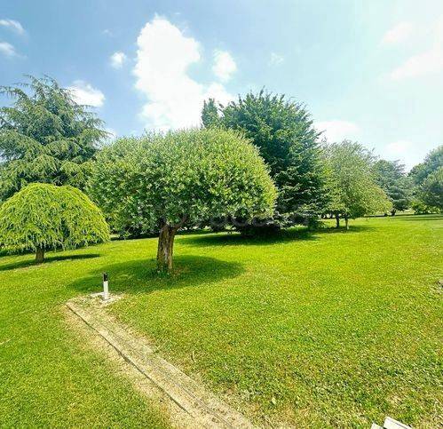 immagine annuncio 5 di 7