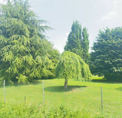 immagine annuncio 6 di 7