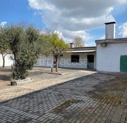 immagine annuncio 7 di 13