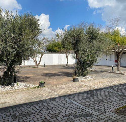 immagine annuncio 8 di 13