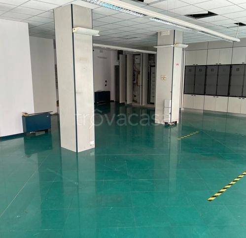 immagine annuncio 2 di 6