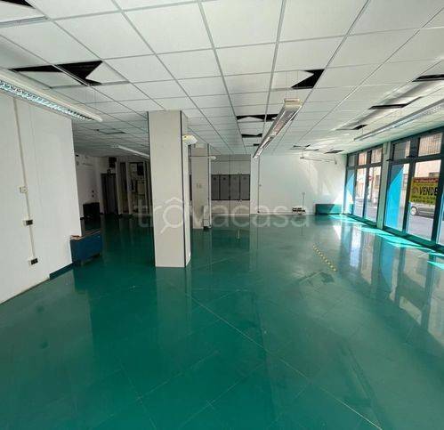 immagine annuncio 3 di 6