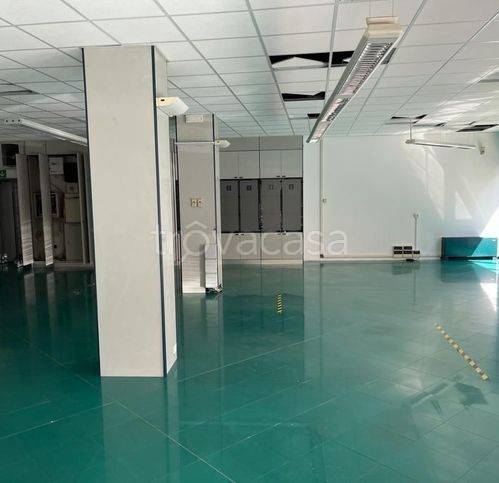 immagine annuncio 4 di 6