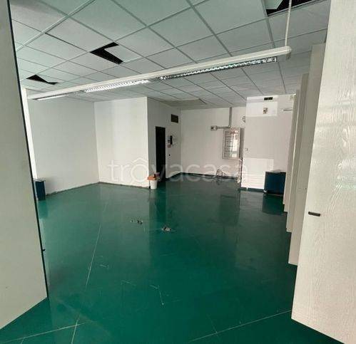 immagine annuncio 5 di 6