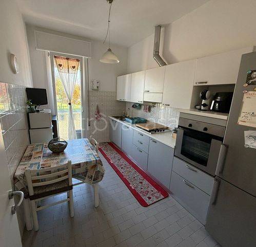 immagine annuncio 3 di 12