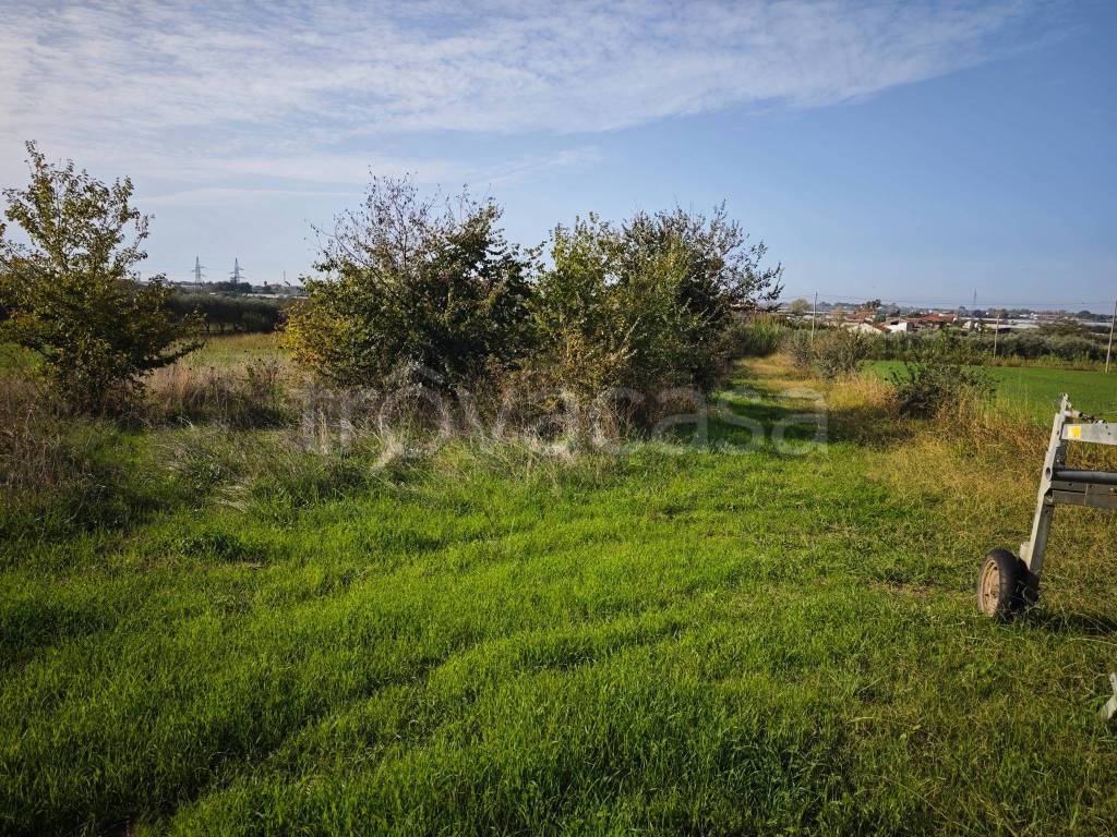 immagine annuncio 3 di 6