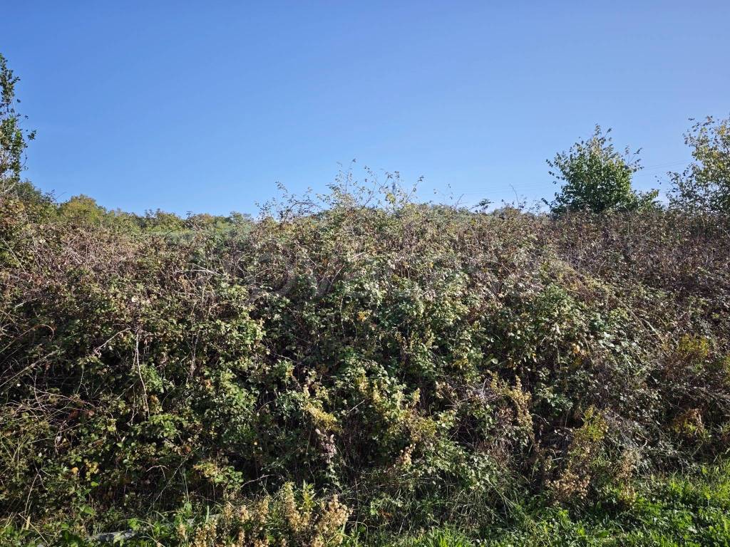 immagine annuncio 4 di 6