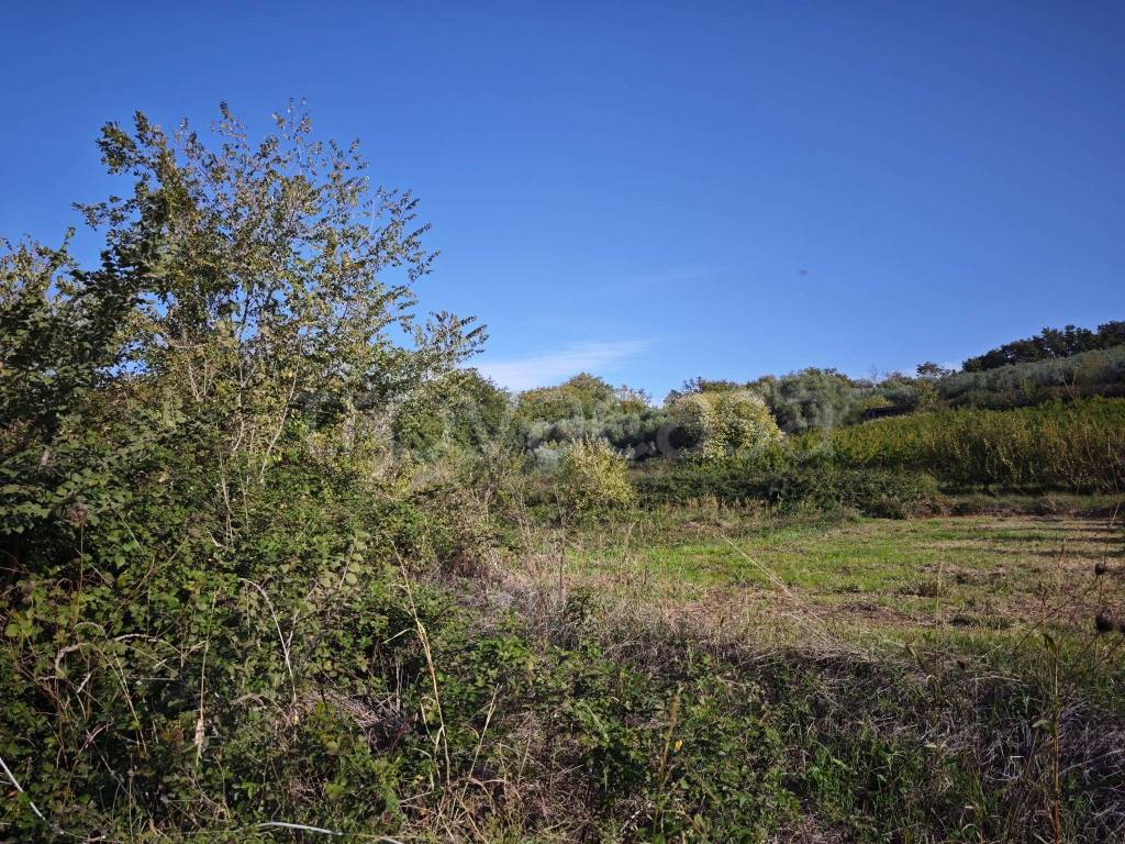 immagine annuncio 5 di 6