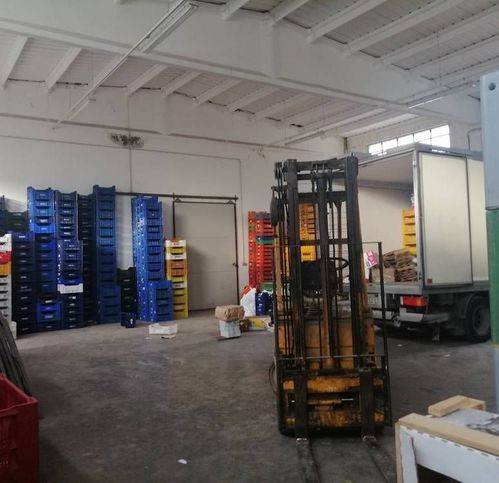 immagine annuncio 5 di 9