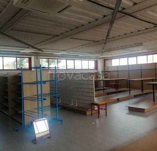 immagine annuncio 3 di 12