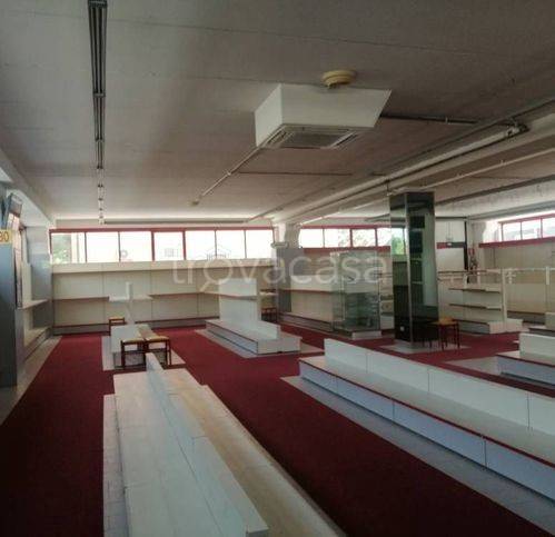 immagine annuncio 6 di 12