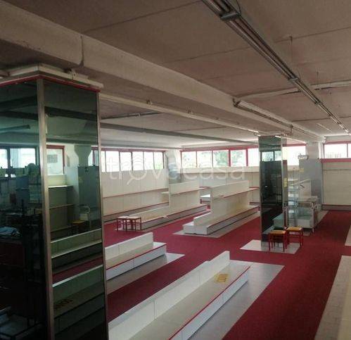 immagine annuncio 7 di 12