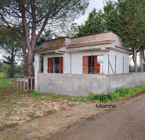 immagine annuncio 3 di 11