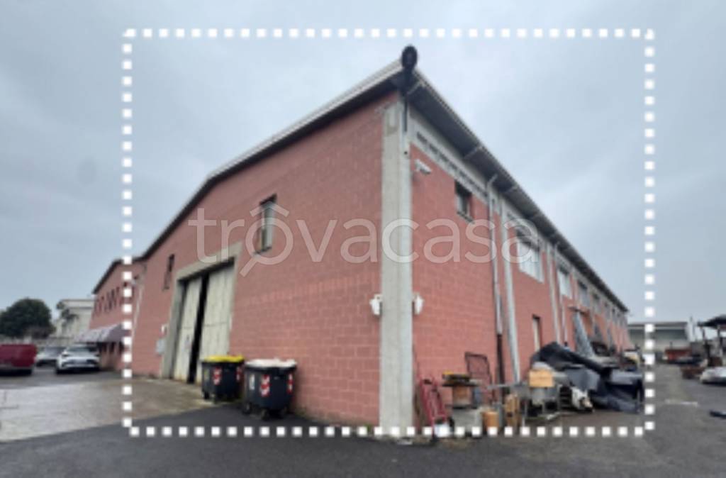 immagine annuncio 2 di 11