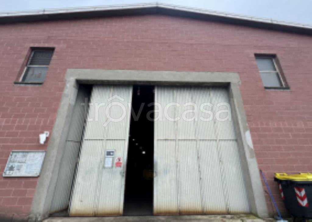 immagine annuncio 4 di 11