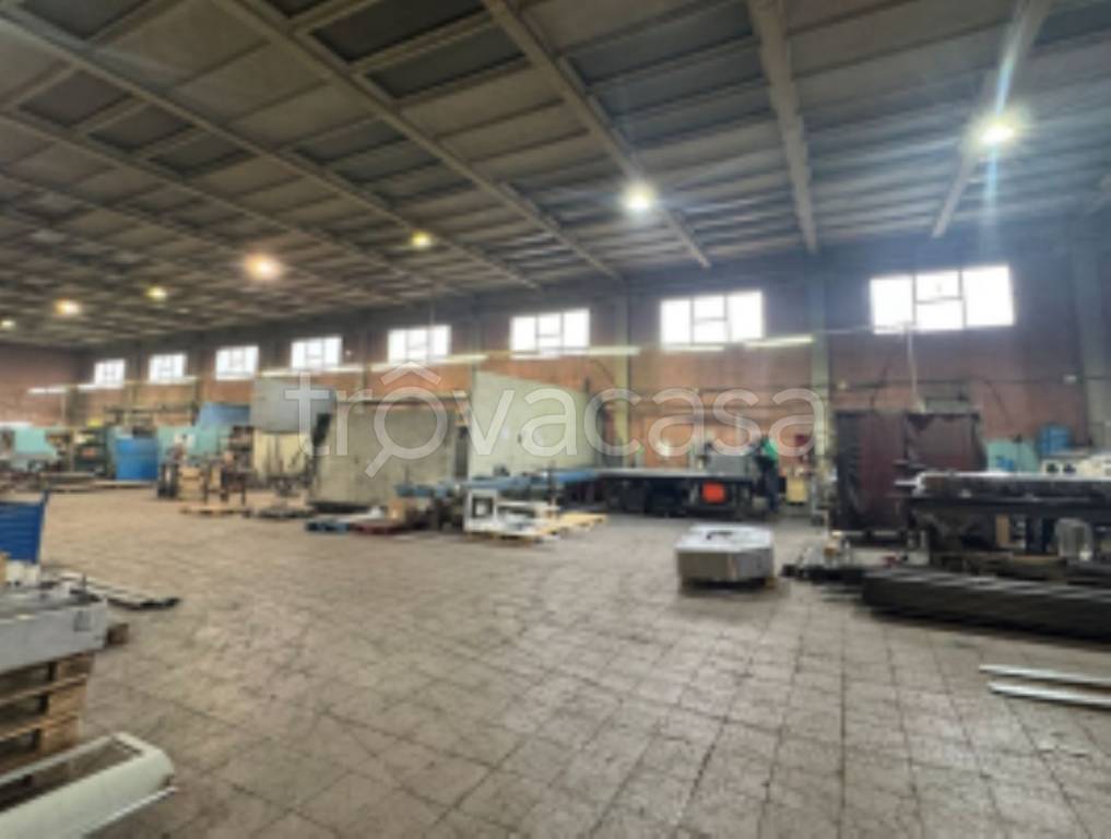 immagine annuncio 6 di 11