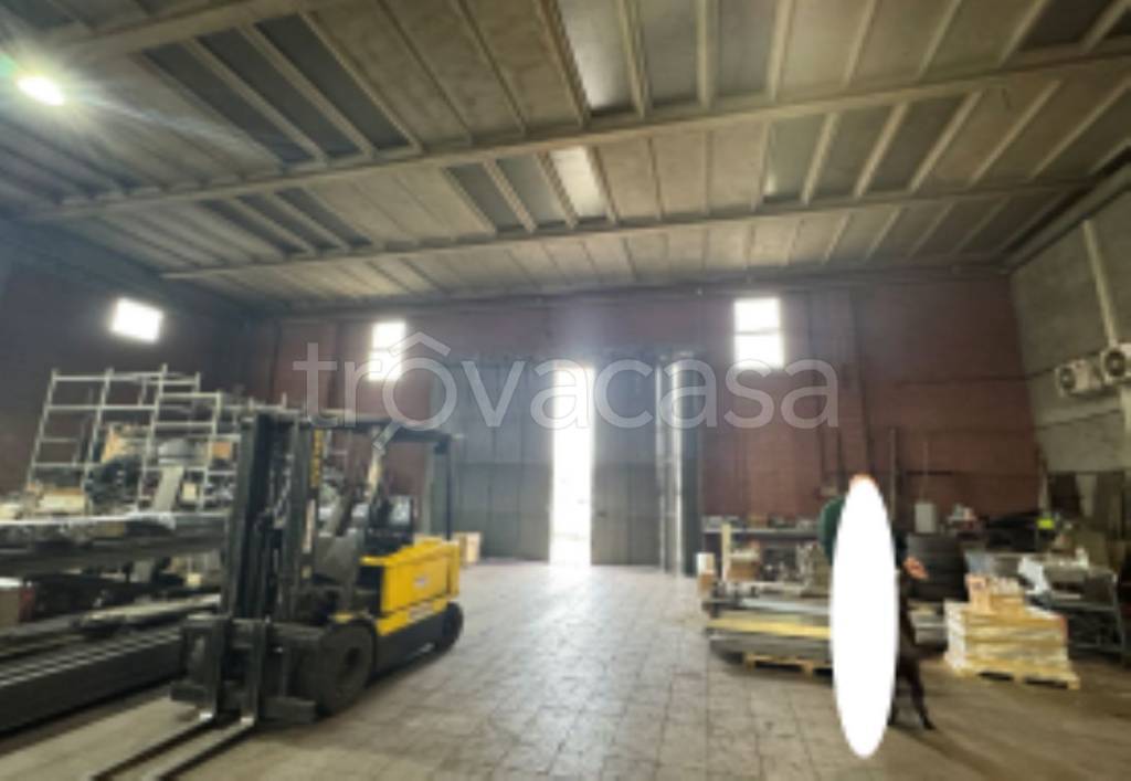 immagine annuncio 7 di 11