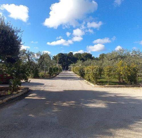 immagine annuncio 9 di 12