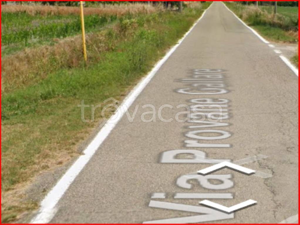 immagine annuncio 5 di 11