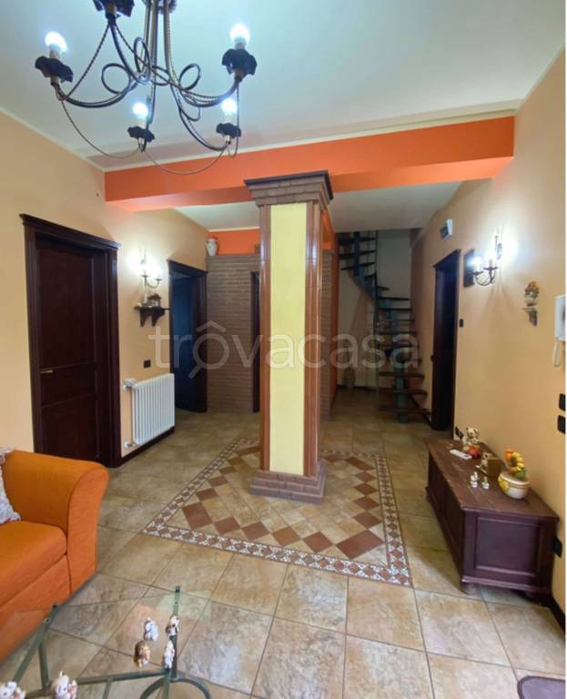 immagine annuncio 3 di 11