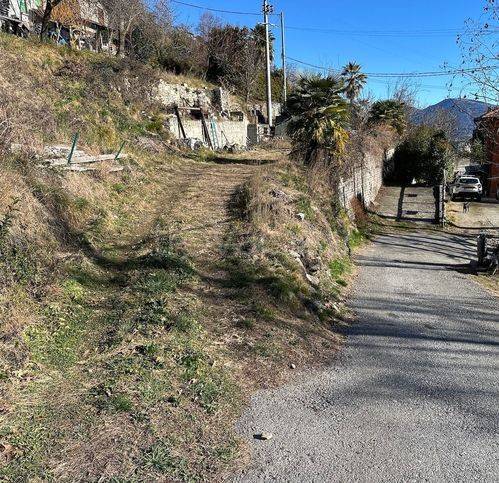 immagine annuncio 2 di 6