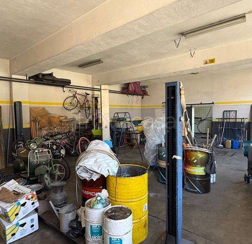 immagine annuncio 9 di 15