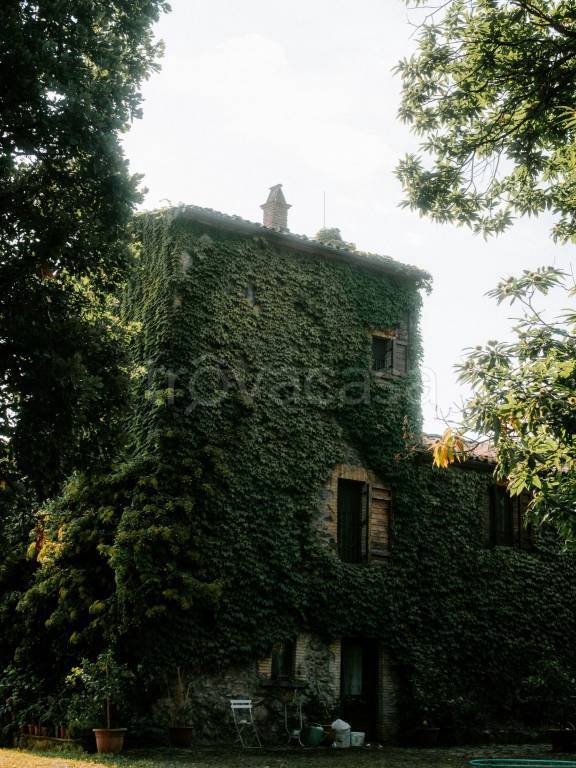 immagine annuncio 3 di 8