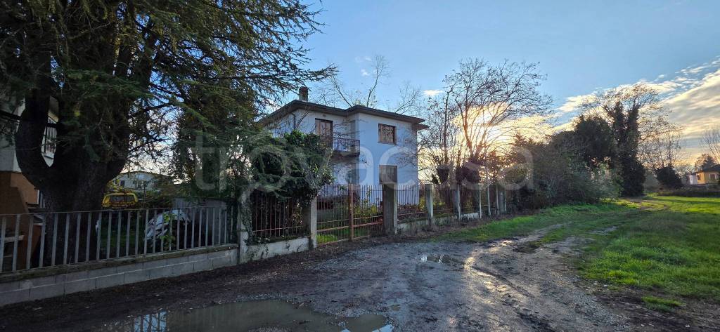 immagine annuncio 3 di 11