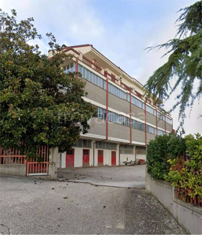 immagine annuncio 9 di 13