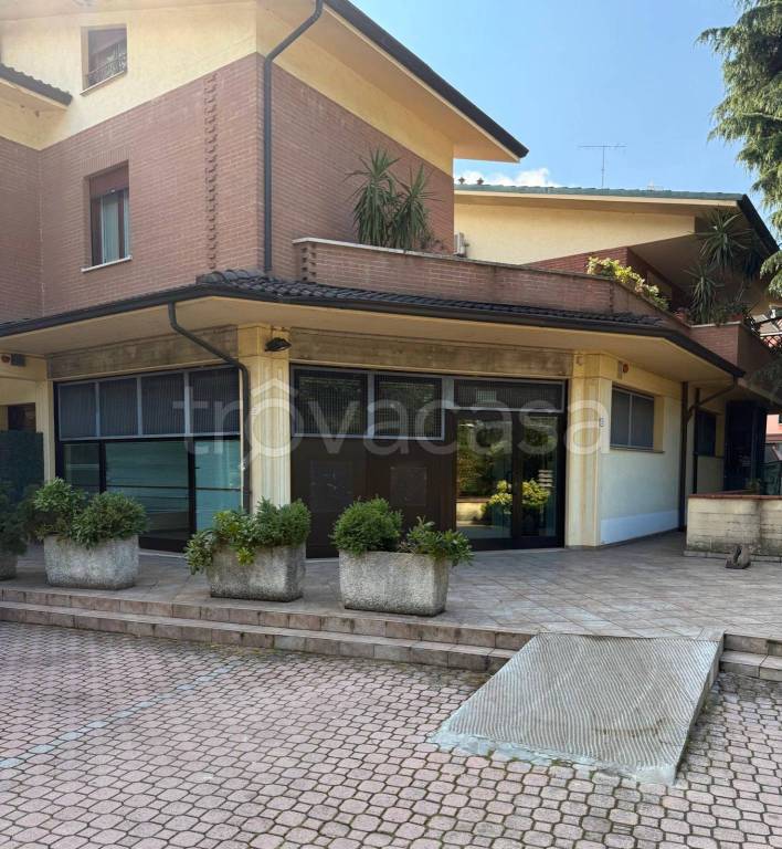 immagine annuncio 4 di 8