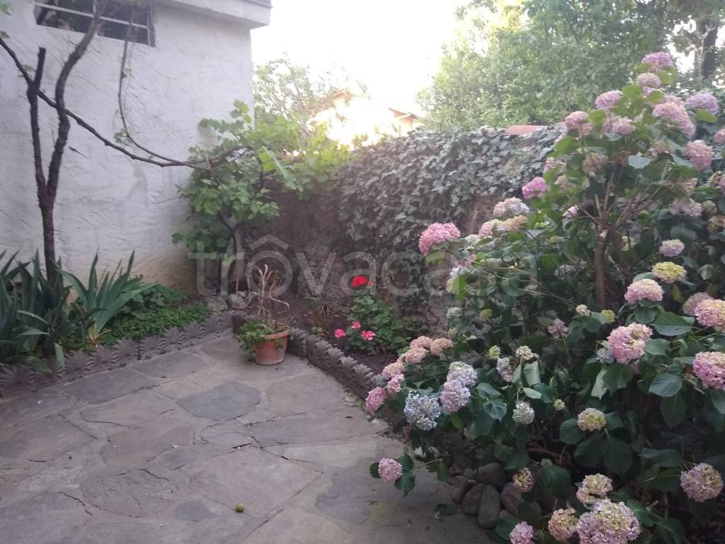 immagine annuncio 2 di 8