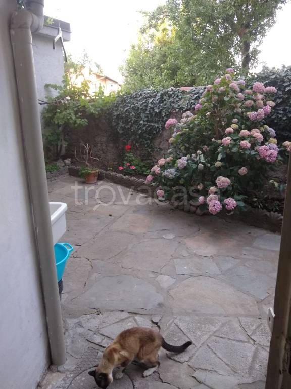 immagine annuncio 7 di 8