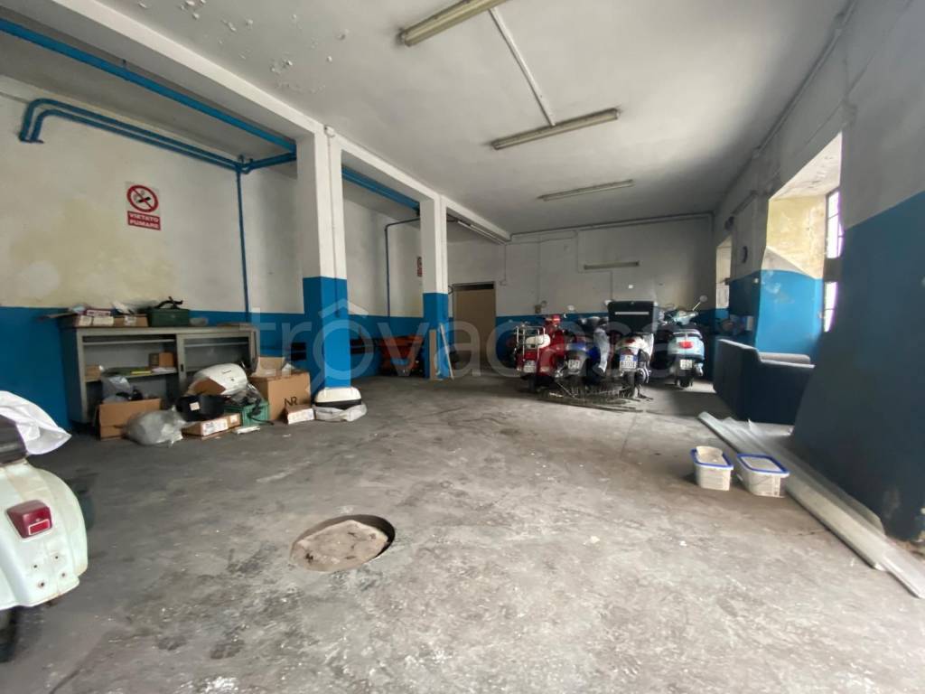 immagine annuncio 5 di 14