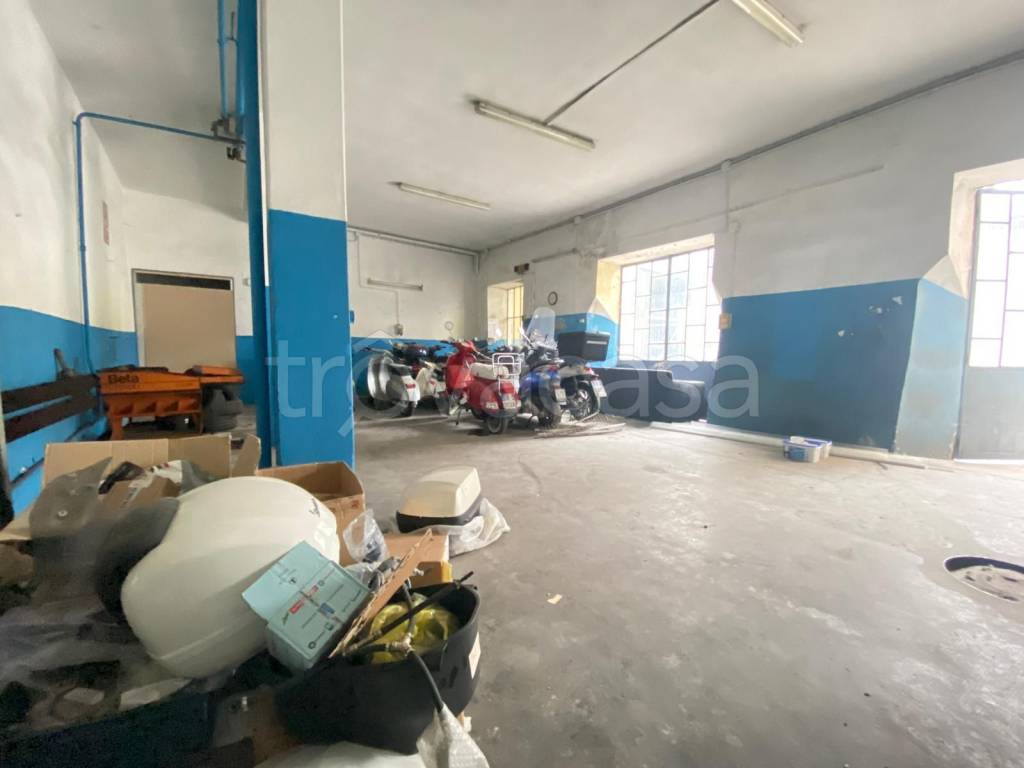 immagine annuncio 6 di 14