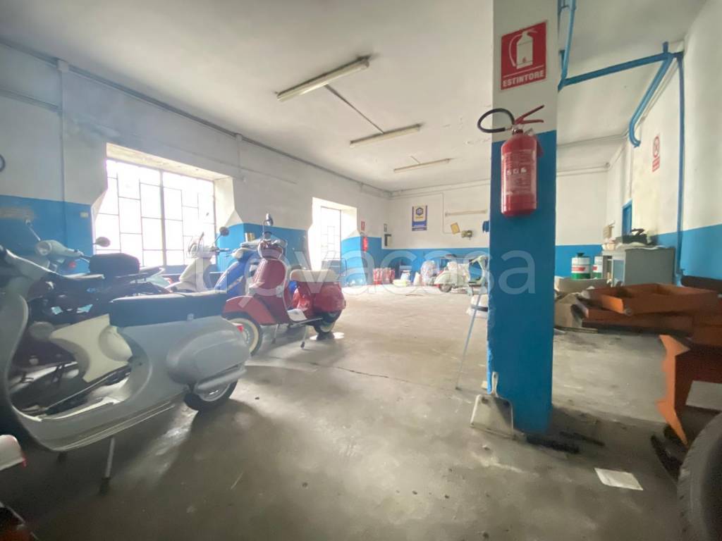 immagine annuncio 7 di 14