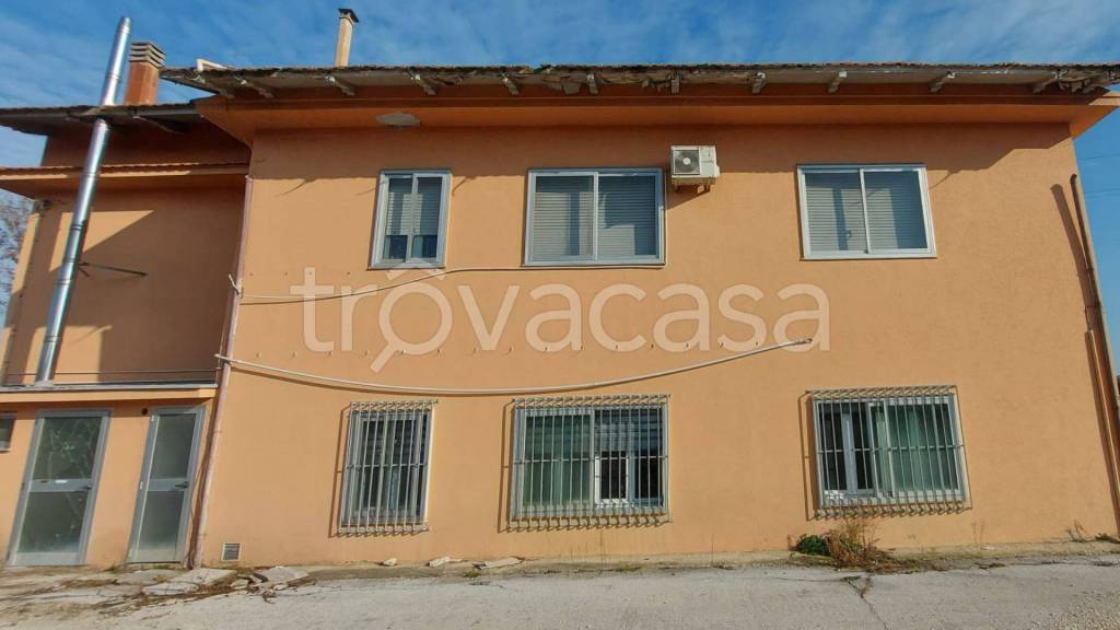 immagine annuncio 11 di 12