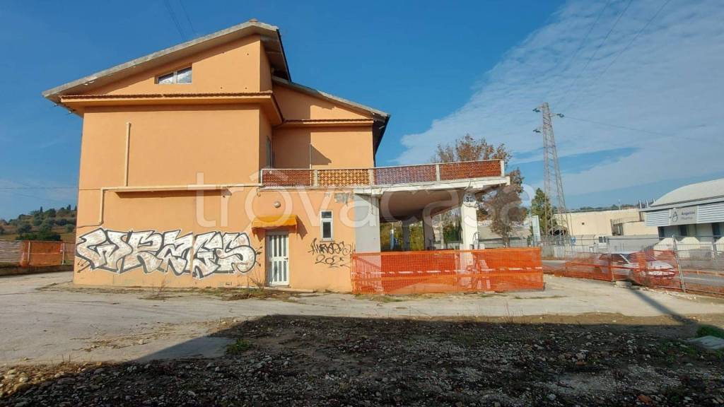 immagine annuncio 5 di 12