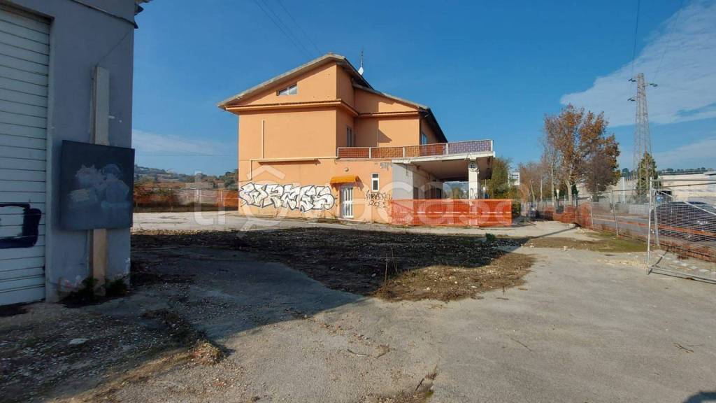 immagine annuncio 7 di 12